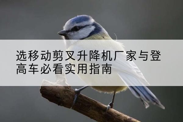 哈尔滨电动升降机厂家-选移动剪叉升降机厂家与登高车必看实用指南
