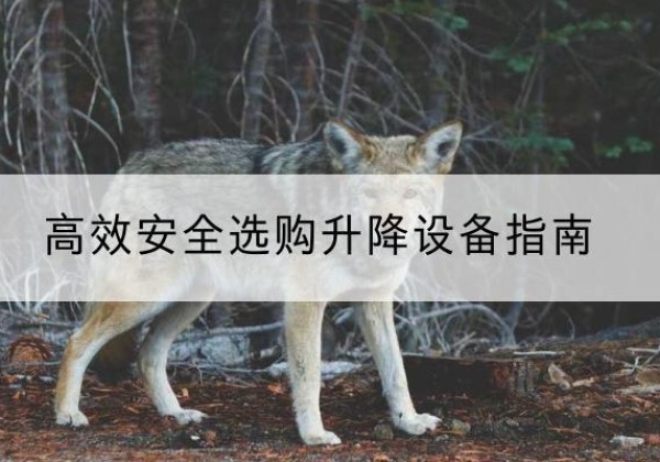 哈尔滨升降货梯厂家推荐-*安全选购升降设备指南