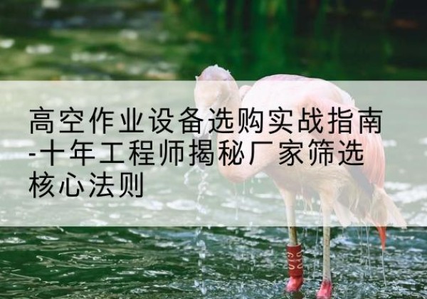 哈尔滨剪叉式升降机厂家-高空作业设备选购实战指南-十年工程师揭秘厂家筛选核心法则